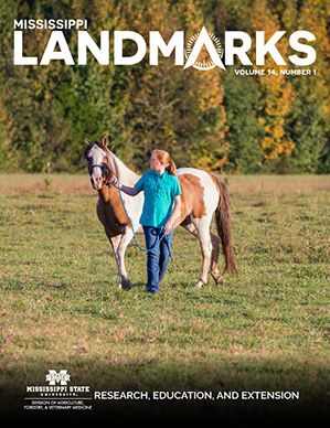 Landmarks Vol 14 No 1 cover.