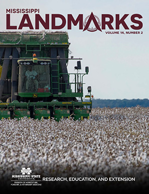 Landmarks Vol 14 No 2 cover.