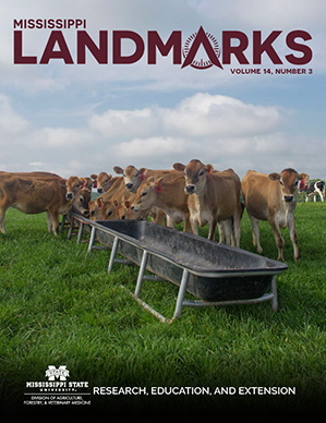 Landmarks Vol 14 No 3 cover.