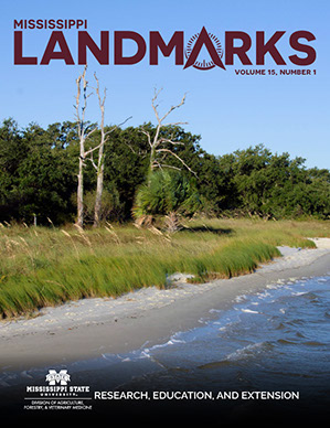 Landmarks Vol 15 No 1 cover.