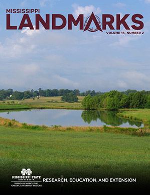 Landmarks Vol 15 No 2 cover.