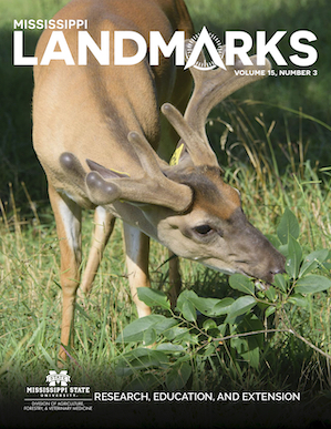 Landmarks Vol 15 No 2 cover.