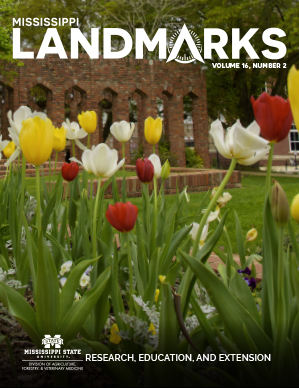 Landmarks Vol 16 No 2 cover.