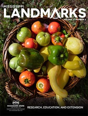 Landmarks Vol 17 No 2 cover.