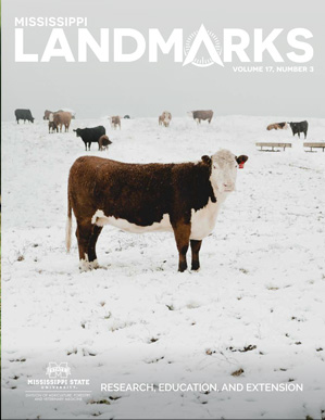 Landmarks Vol 17 No 3 cover.