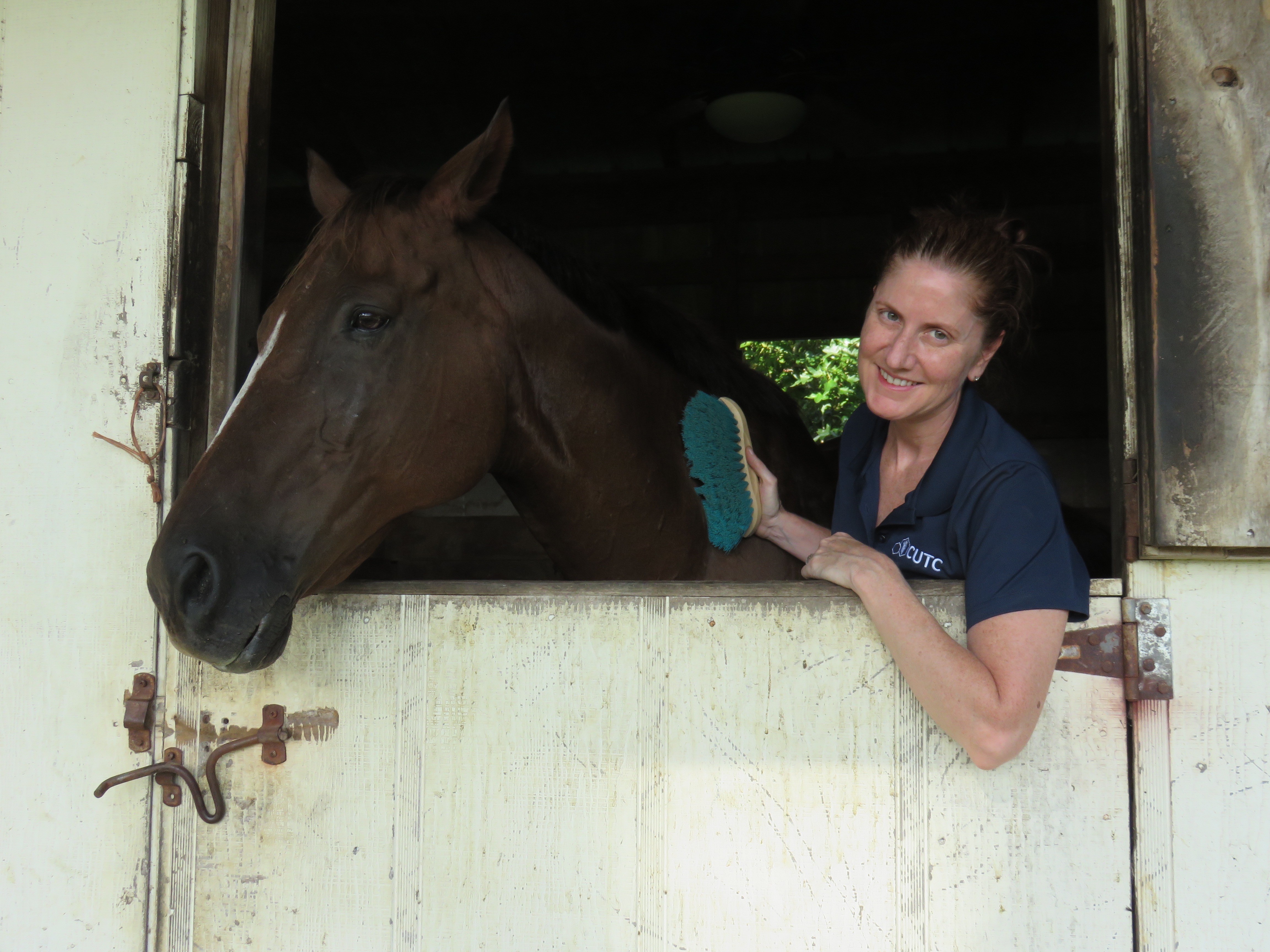 Woman brushing horse