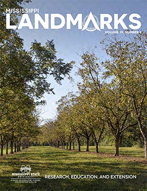 Landmarks Vol 19 No 1 cover.