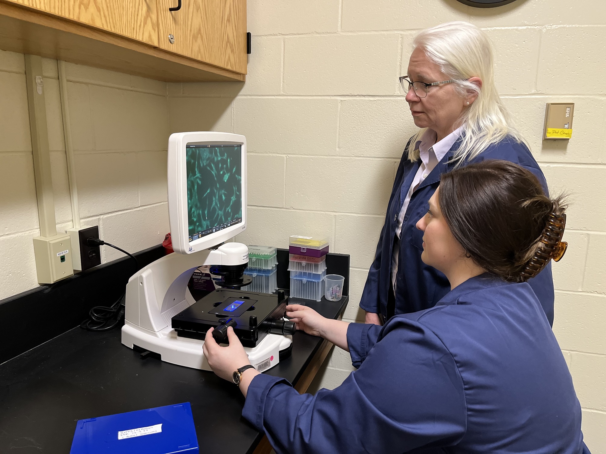 two scientists looking at microscopic images