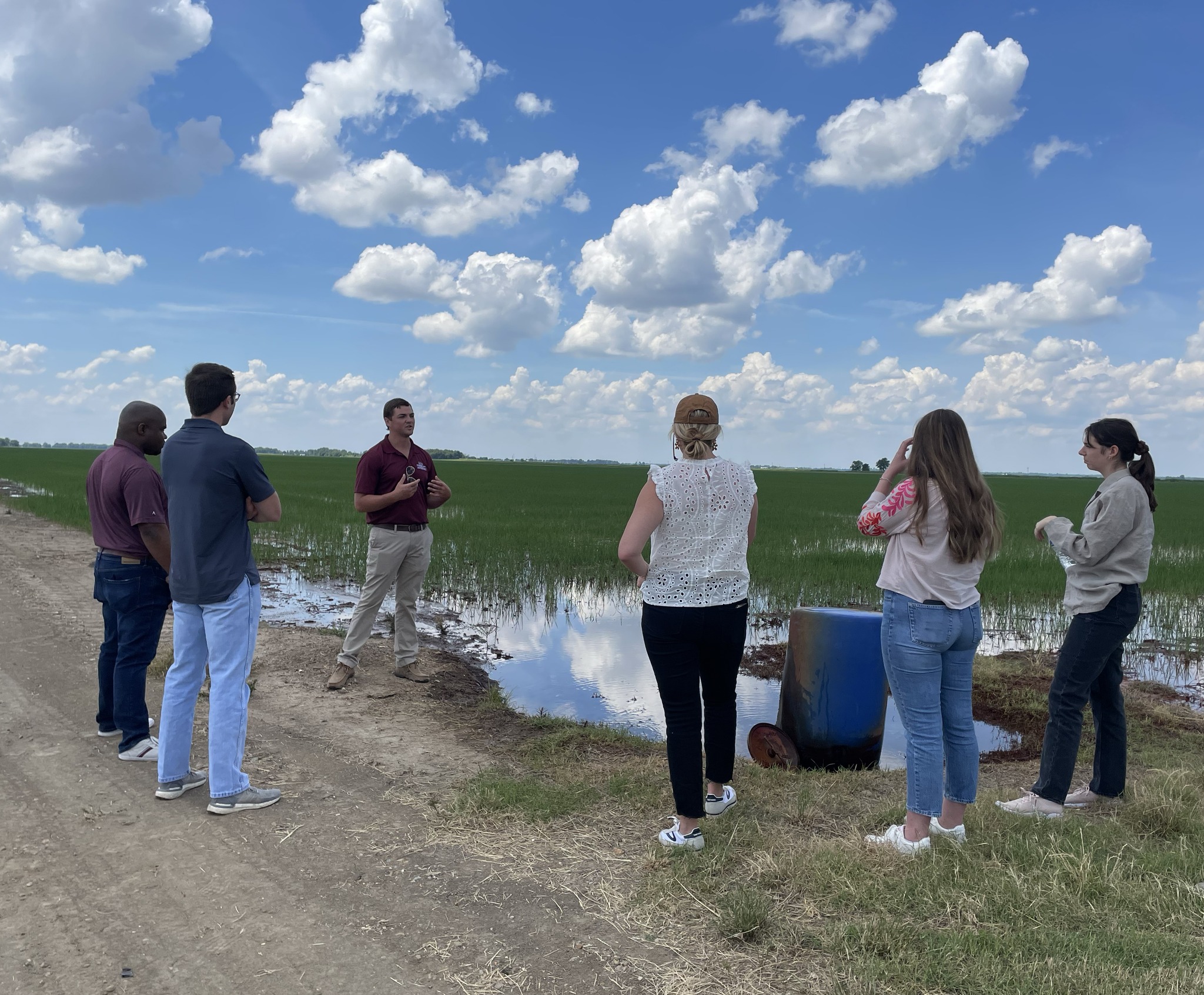people standing in field