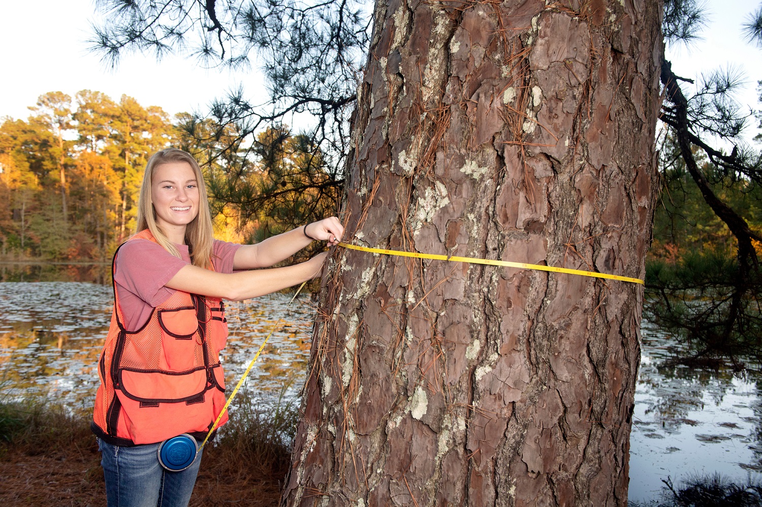 Forestry student measures a tree at dorman lake