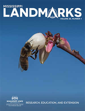 Landmarks Vol 20 No 1 cover.