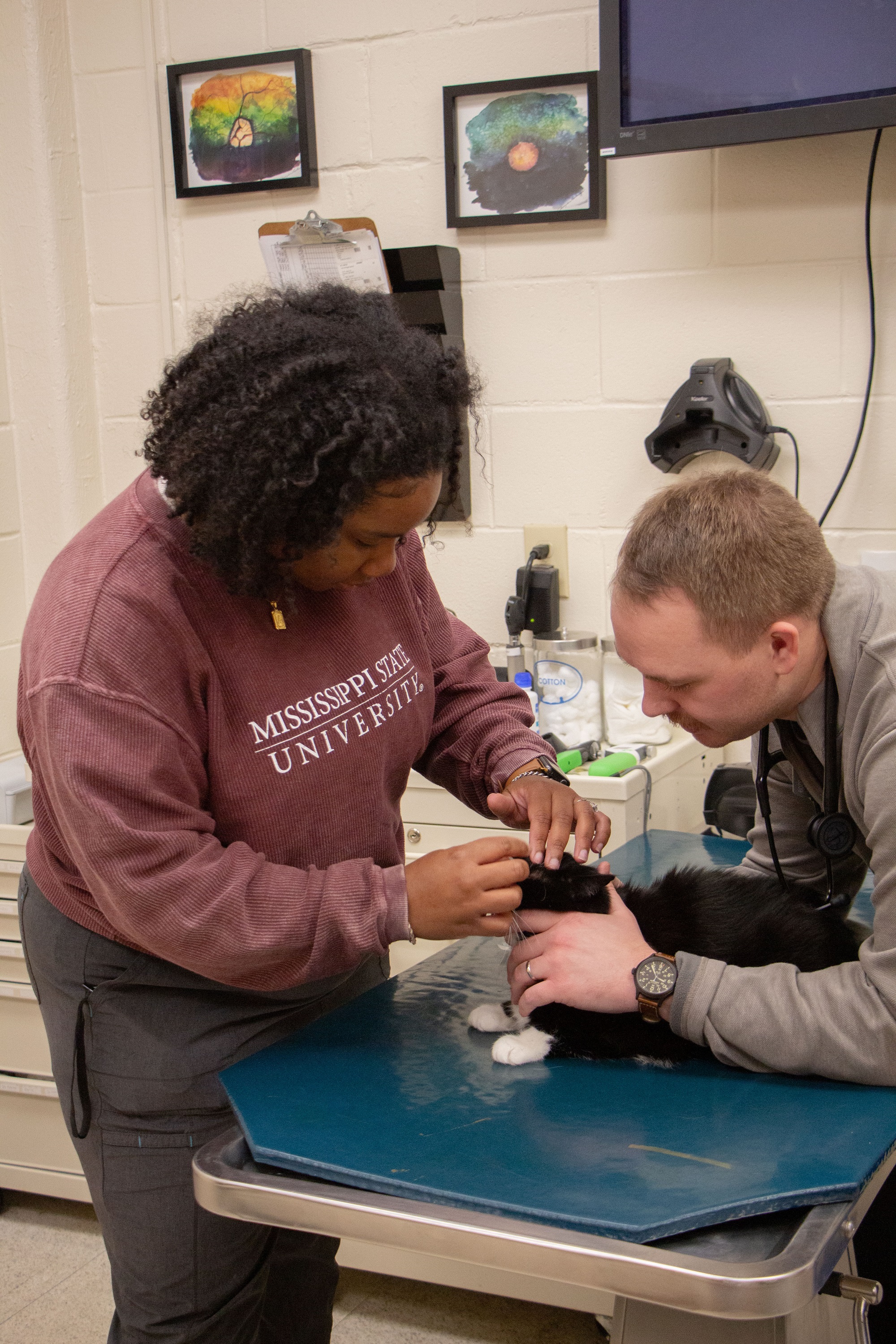 Bolton, a veterinary technician, assists with an eye exam.