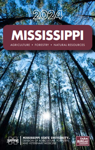 booklet cover with tall trees with sunlight shining through
