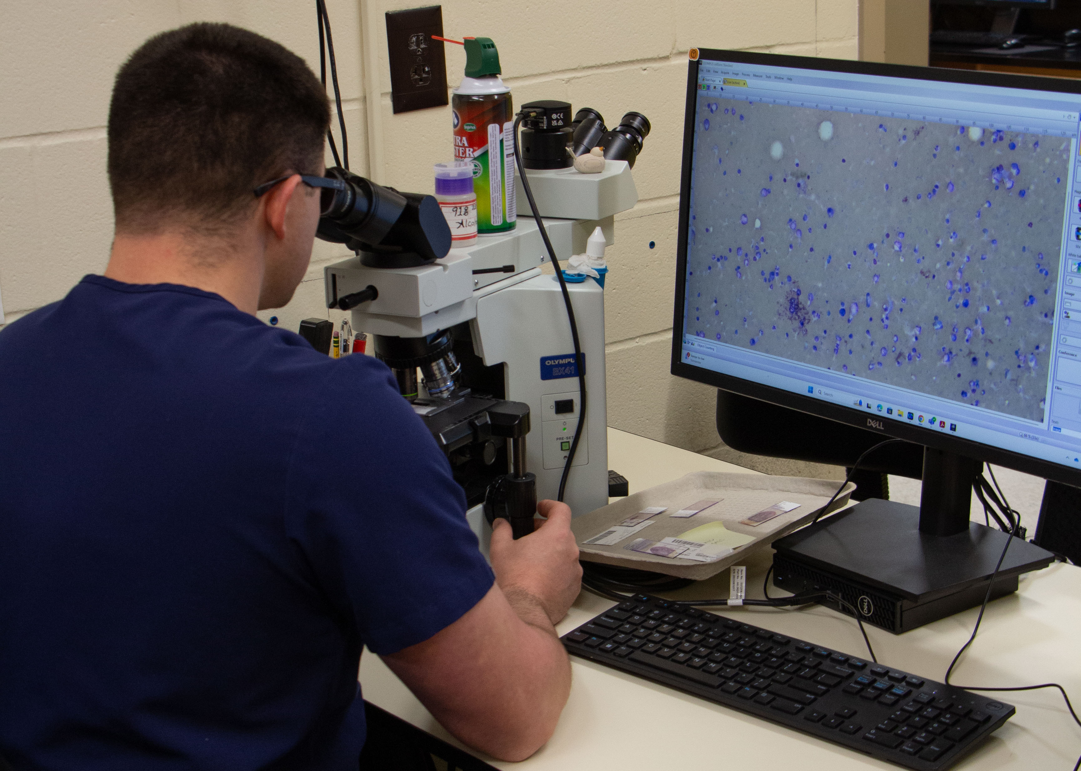Pathologist looking in microscope