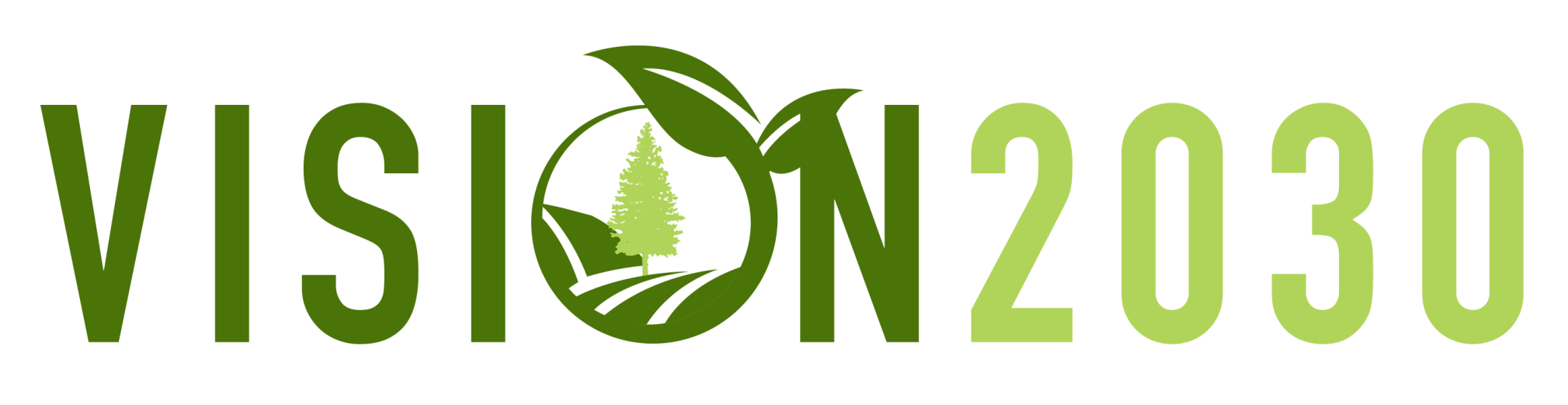 Vision 2030 logo
