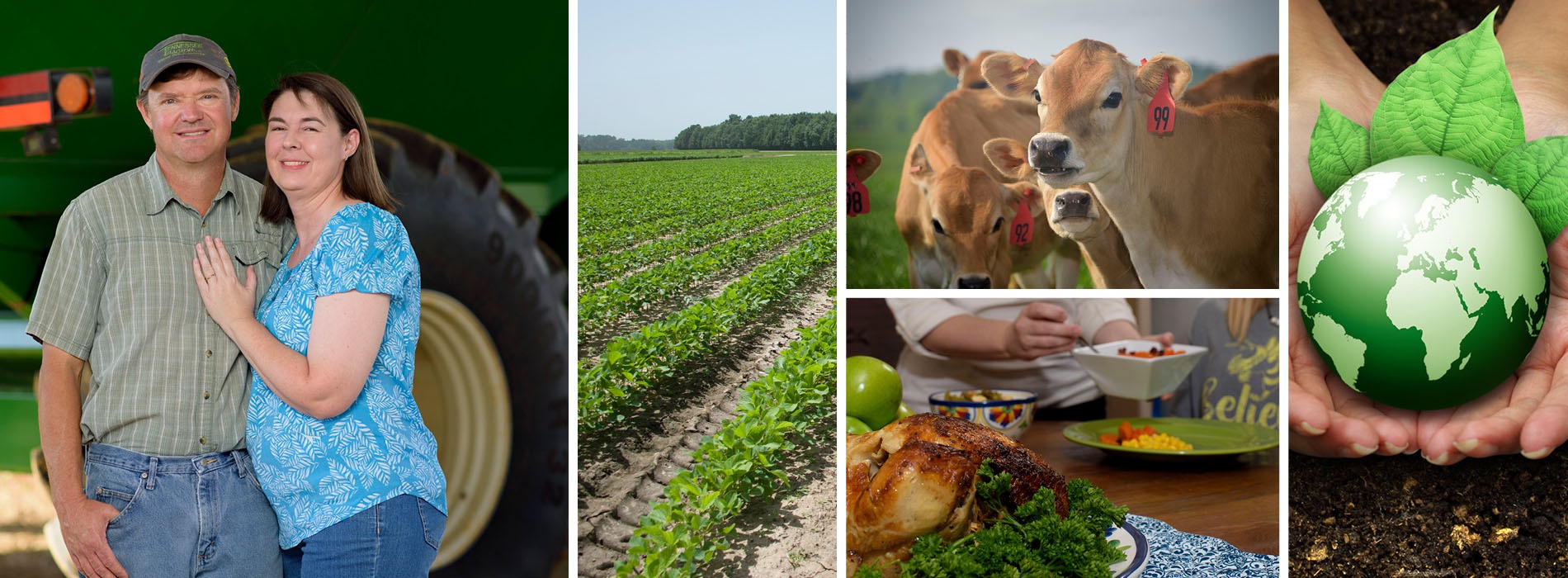 collage of farm to table images