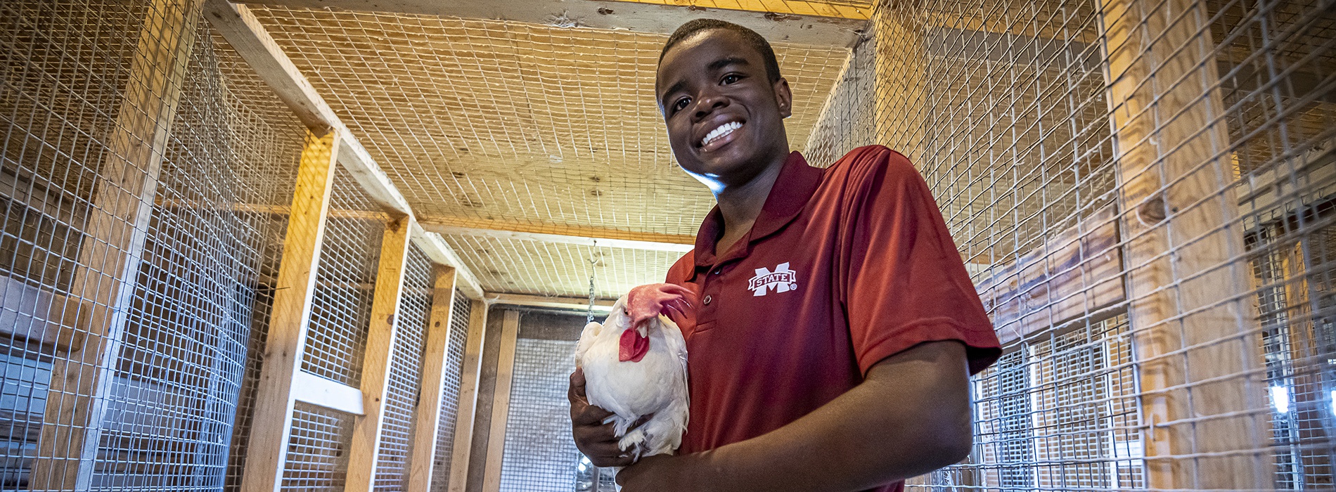 Young man holding hen in large chicken coop.