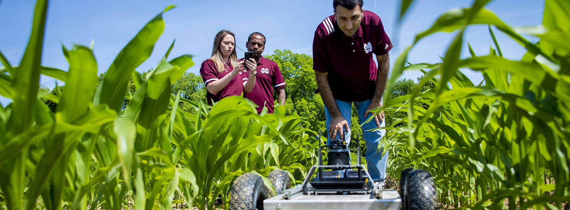 3 researchers using remote rover in field.